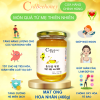 mat-ong-hoa-nhan-nguyen-chat-cao-cap-330ml-460g-cvdbeehoney-longan-flower-honey-330ml-460g-cvdbeehoney - ảnh nhỏ 2