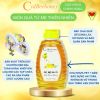 mat-ong-hoa-vai-nguyen-chat-500g-cvdbeehoney-litchi-flower-honey-500g-cvdbeehoney - ảnh nhỏ 4