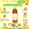 mat-ong-hoa-ca-phe-nguyen-chat-1l-1400g-cvdbeehoney-coffee-flower-honey - ảnh nhỏ 3